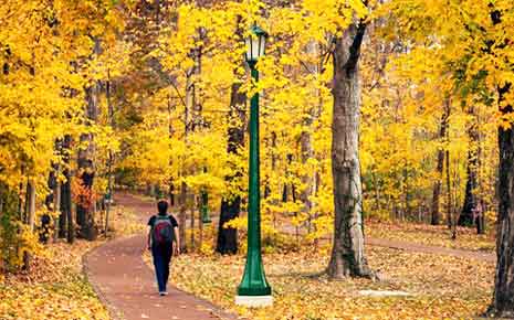 fall colors path through park